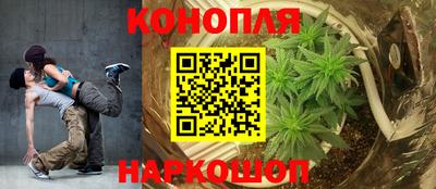 гидра Заволжье