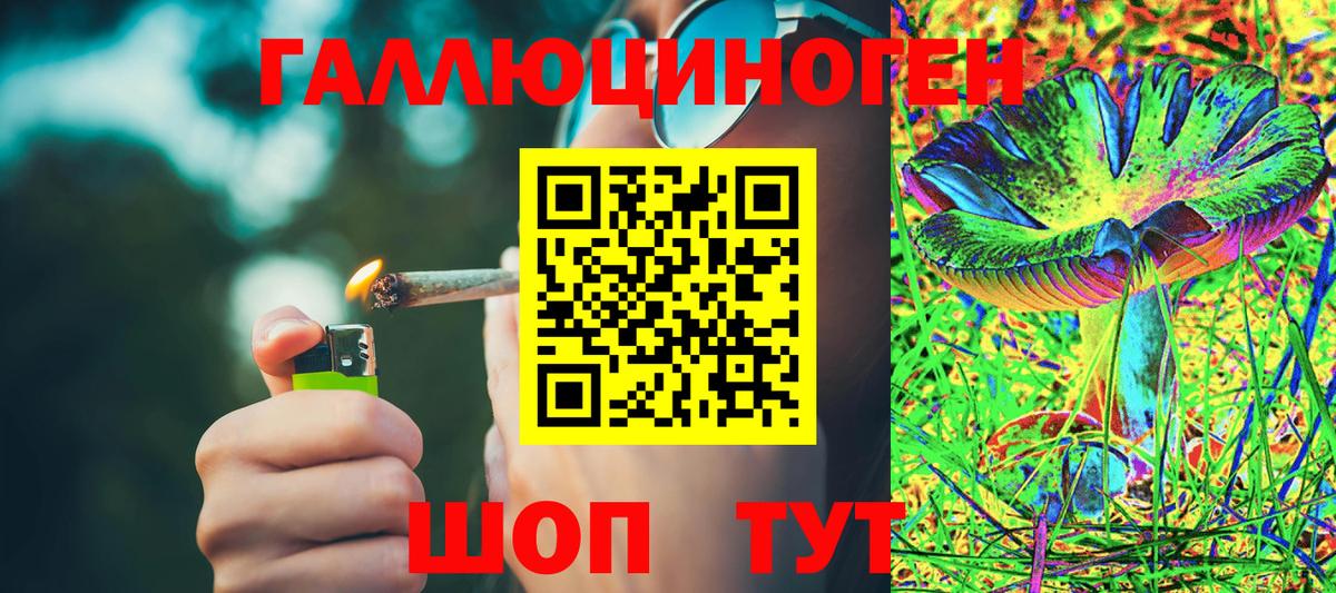 Нижневартовск  Псилоцибиновые грибы Cubensis  Вход с VPN 